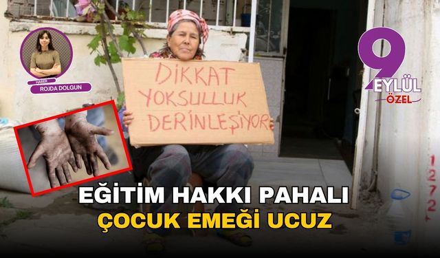 Eğitim hakkı pahalı: Çocuk emeği ucuz