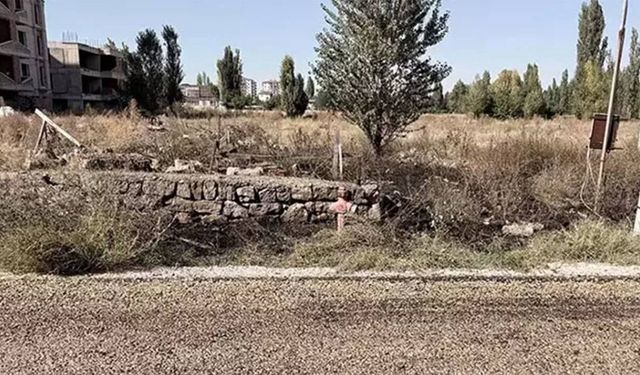 Yaşlı adam ot yangınında yaşamını yitirdi