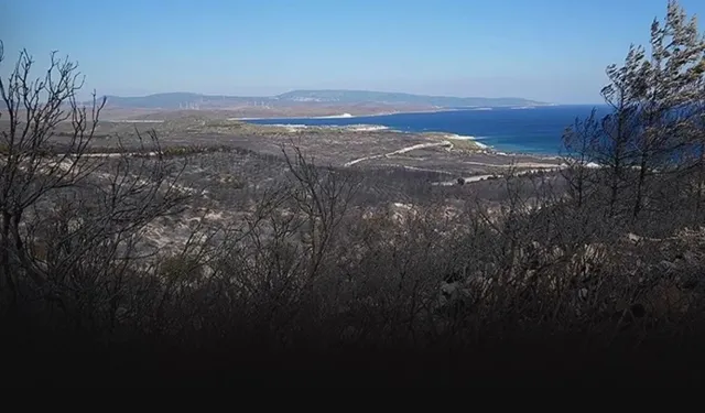 İzmir’deki orman yangınında 3 kişi hayatını kaybetmişti... Davada karar açıklandı