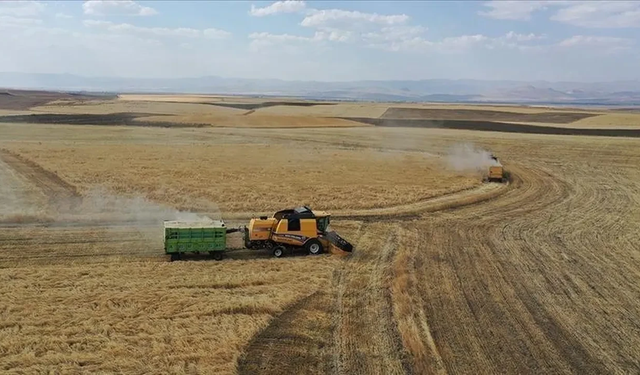 Çiftçiye büyük destek: 2026 tarımsal ödeme miktarları açıklandı