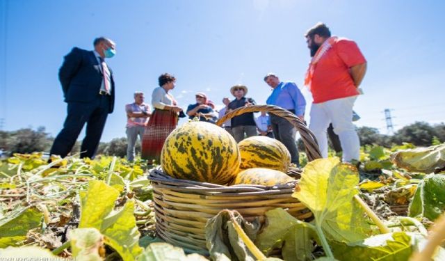 İzmir’de özel işaretli tarım ürünleri dönemi başladı