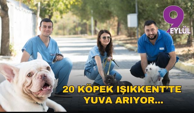 İzmir’de el konulan 20 köpek Işıkkent Bakımevi’nde koruma altında