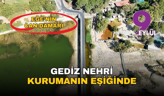 Ege'nin can damarı Gediz kuruyor: Ovada çiftçi, tarlada ürün susuz kaldı