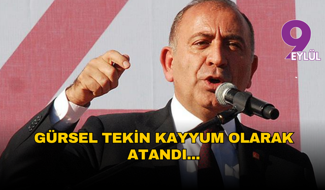 CHP İstanbul İl Başkanlığı’na Gürsel Tekin kayyum atandı: "Partiyi sahipsiz bırakacak değilim"