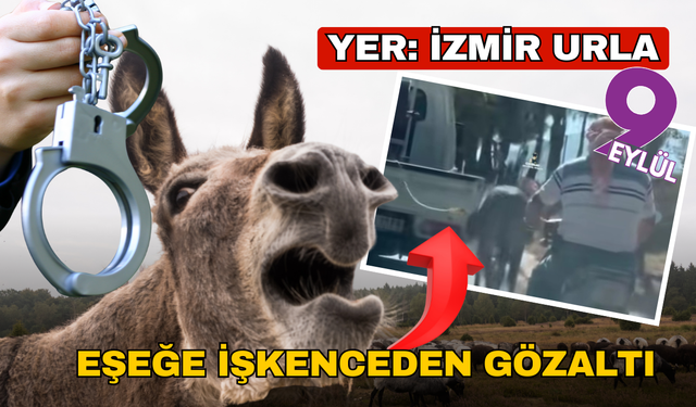 Urla’da eşeğe işkenceden gözaltı