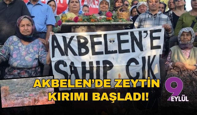 Akbelen’de zeytin kırımı başladı