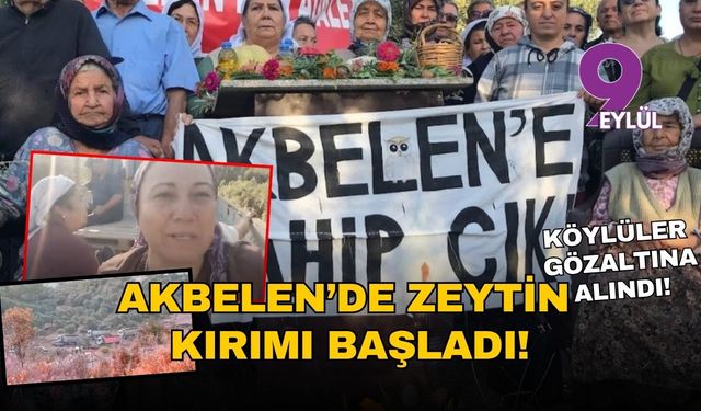 Akbelen’de zeytin kırımı başladı