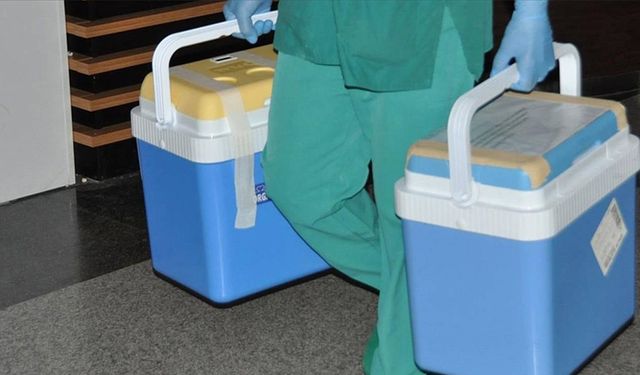 Organ bağışında yeni dönem: Artık e-Devlet üzerinden yapılacak