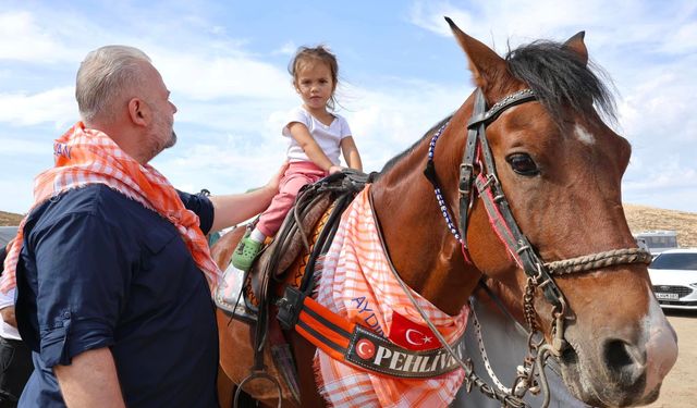 Türkiye’nin en başarılı atları Menemen’de yarışacak