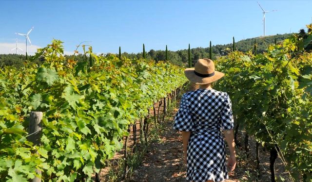 İzmir, bağcılık mirasını koruyan Iter Vitis Rotası’na katıldı