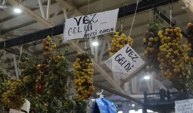 2 yılda bir yetişiyor, çürüyünce yeniyor: Kilosu 300 liraya satılıyor