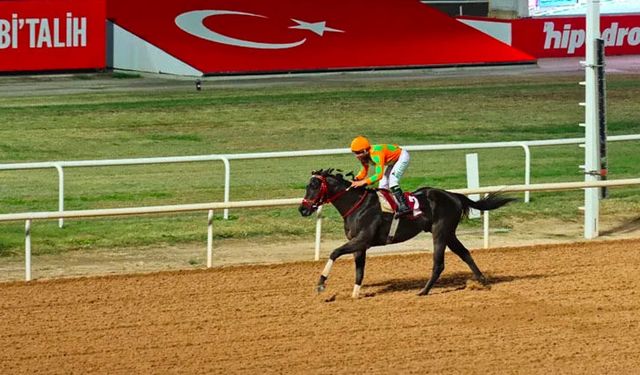 840 liralık kuponla 18 milyon kazandı: Adana’da yarış tarihine geçen talihli