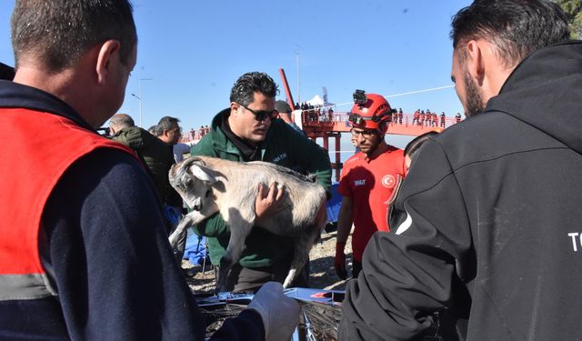 Sındırgı depreminde yaralar sarılıyor