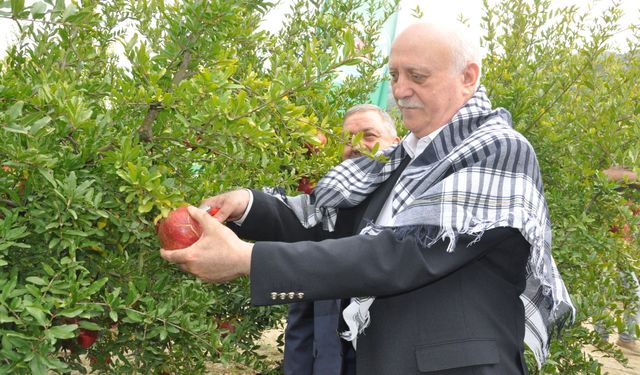 TZOB Genel Başkanı Bayraktar, İzmir'de incelemelerde bulundu