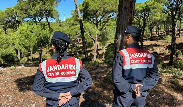 Sultan çiğdemini koparmanın cezası 557 bin lira