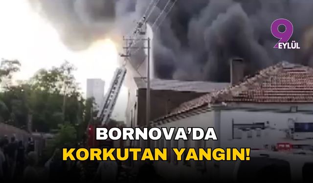 İzmir'de korkutan yangın: Bornova'da plastik deposu alev alev yandı