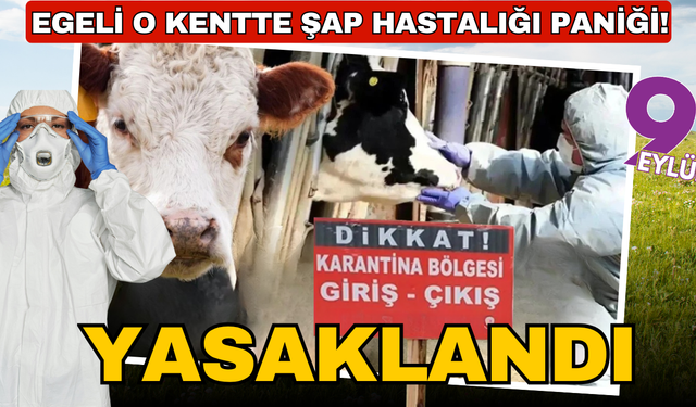 Aydın'da şap hastalığı: 34 mahalle karantinaya alındı