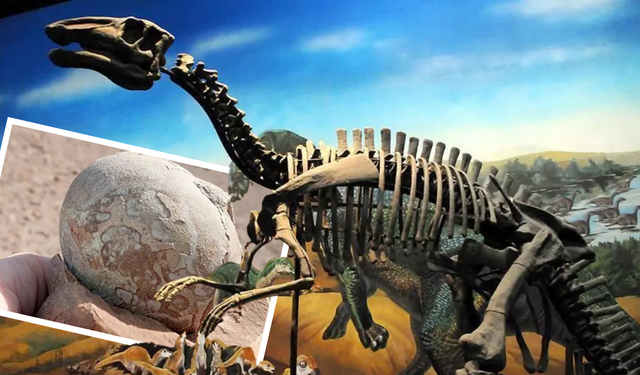 Milyonlarca yıllık dinozor yumurtası sapasağlam bulundu!