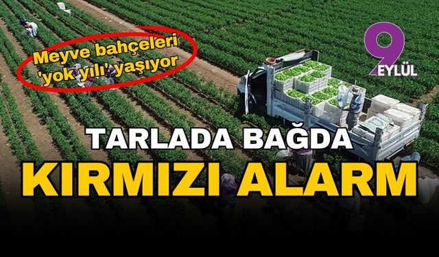 Tarlada, bağda, bahçede kırmızı alarm: Meyve bahçeleri 'yok yılı' yaşıyor