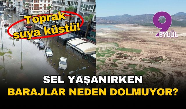 Toprak suya küstü: İzmir'de seller yaşanırken barajlar neden boş kalıyor?