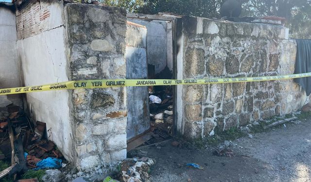 ‘Kedilere fısıldayan kadın’ Şule Çörekçi 30 kedisiyle birlikte yaşamını yitirdi