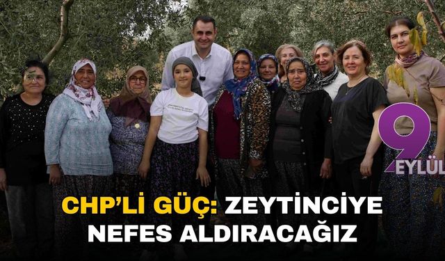 CHP’li Güç: “İktidarımızda zeytincilik hak ettiği değeri görecek”