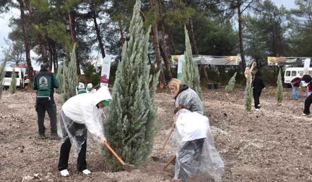 İzmir’de 115 bin fidan toprakla buluşturuldu