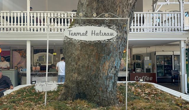 Atatürk’ün mirası 96 yıllık arboretum, ziyaretçilerini büyülüyor