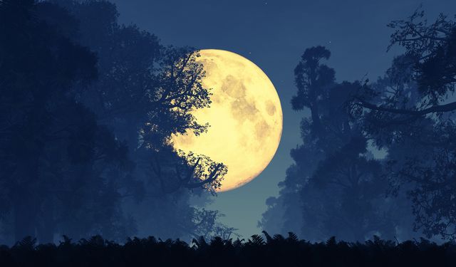 Yılın en parlak ve en büyük Dolunay’ı bu gece!