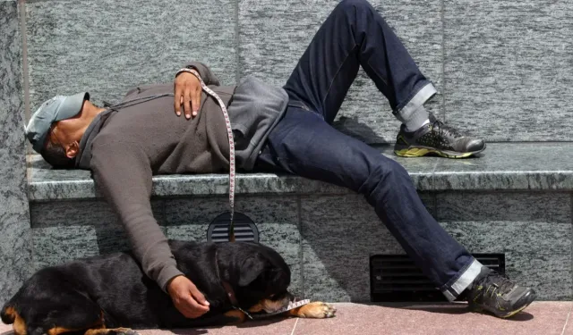 81 ilde kimsesizlerin barınma, gıda ve sağlık ihtiyaçları karşılanacak