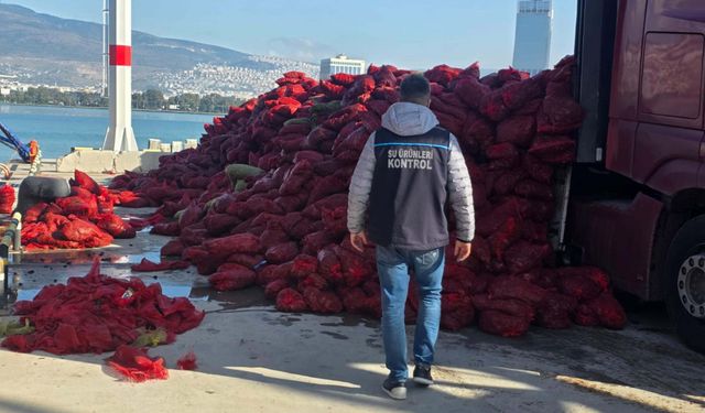 İzmir'de dev midye operasyonu