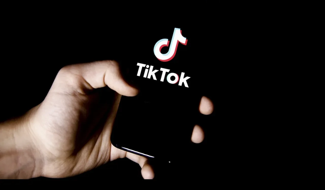TikTok raporunda çarpıcı Türkiye verileri