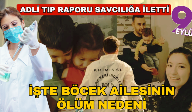 Böcek ailesinin kesin ölüm nedeni belli oldu