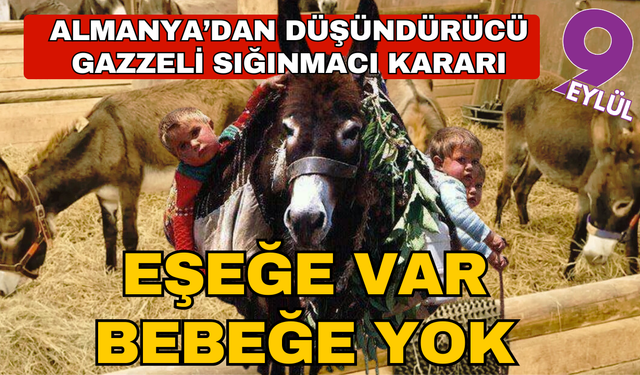 Almanya, Gazze'den gelen 8 eşeğe sığınma hakkı verdi