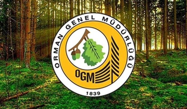 OGM 496 personel alacak! Orman Genel Müdürlüğü personel alımı 2026