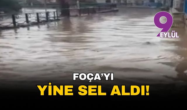 İzmir Foça'yı yine sel aldı!