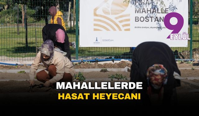 İzmir'in mahallelerinde hasat heyecanı