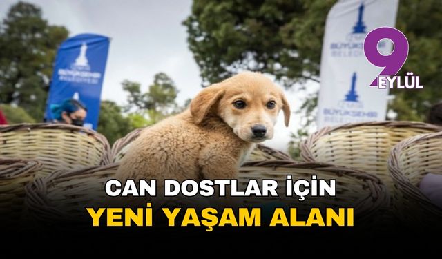 İzmir'de can dostlar için yeni yaşam alanı