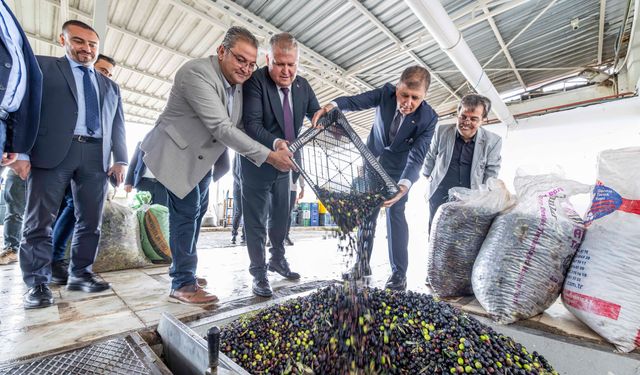 Urla, Zeytinin Bereketi ve Sanatın Işığıyla 3 Gün Boyunca Parlayacak!