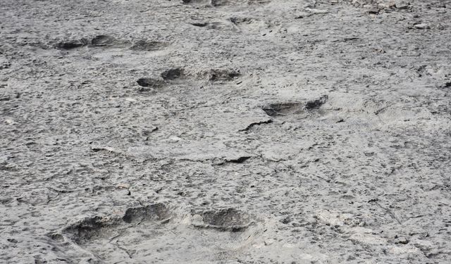 İtalya'da binlerce dinozor ayak izi keşfedildi