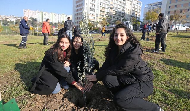 Karşıyaka’nın yeni yaşam alanı zeytinle dolacak: İlk fidanlar toprakla buluştu