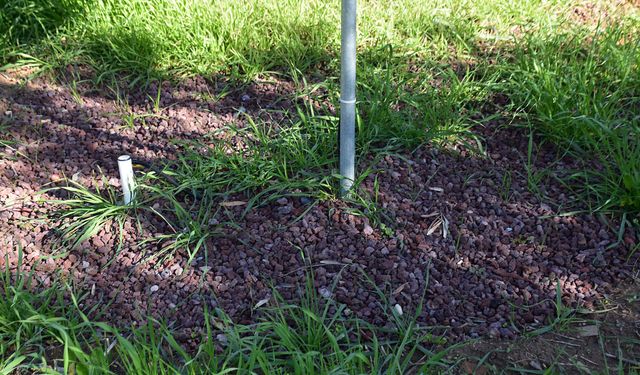 Kuraklıkla savaşın en etkili formülü toprağın hafızasında saklı