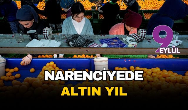 Türk mandalinası dünya sofralarını fethetti: İhracatta tüm zamanların rekoru kırıldı