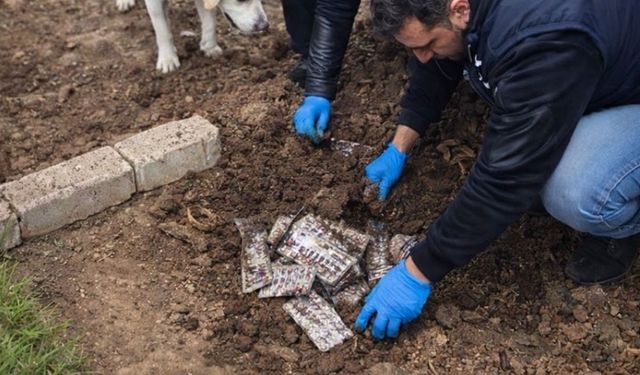 İzmir Menderes'te okul yoluna zehir tuzağı: Bahçeden patates değil binlerce hap çıktı