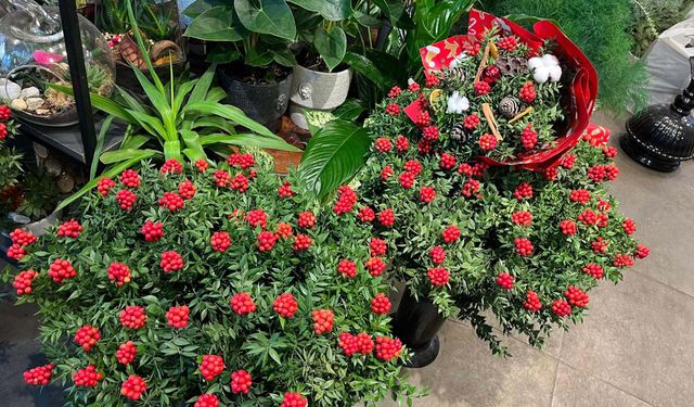 Yılbaşı klasiği kokina İzmir’de satış rekorları kırıyor