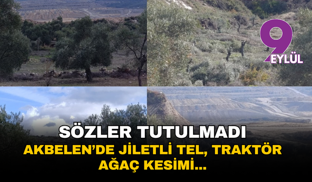 Sözler tutulmadı: Akbelen’de jiletli tel, traktör ve ağaç kesimi