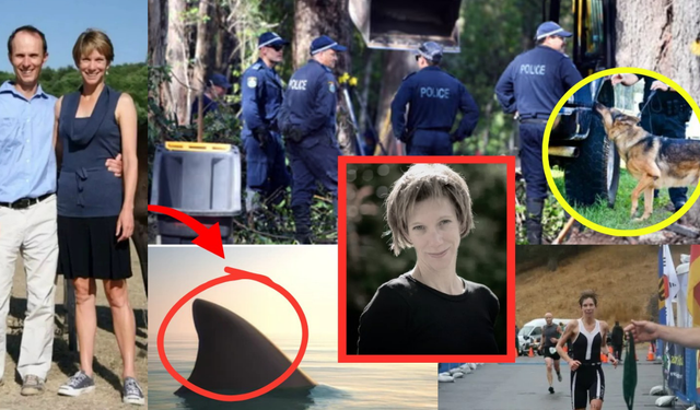 En son köpek balığının ağzında gördüler: Sporcunun acı vefatı!