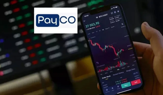 Payco soruşturmasında ikinci dalga: Yazılım ekibine gözaltı yağdı