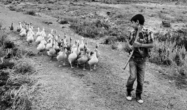 Kadir Ekinci’nin ‘Kazların Senfonisi’ sergisi
