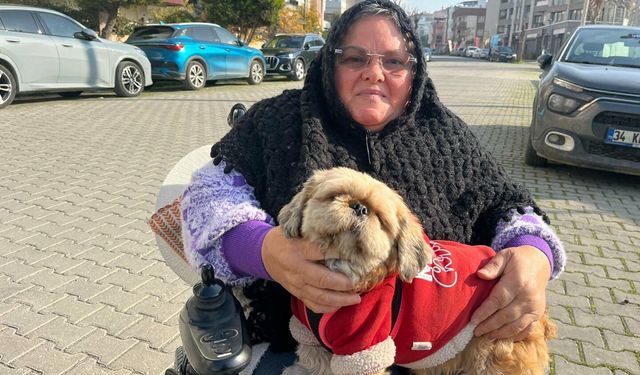 Tekerlekli sandalyedeki Mesude teyzenin hayata tutunma öyküsü: Acılarını ‘Fıstık’ ile dindirdi